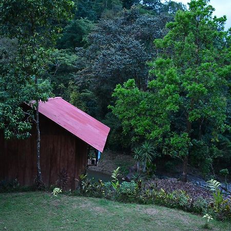 Cabinas Y Restaurante Tilapias La Cascada Otel Ojochal Dış mekan fotoğraf