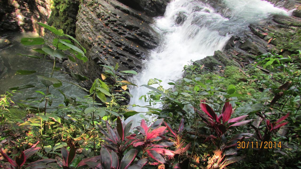 Cabinas Y Restaurante Tilapias La Cascada Otel Ojochal Dış mekan fotoğraf